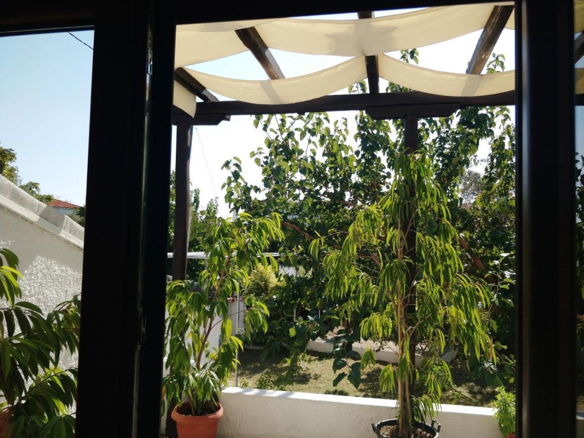 Maria Studios Skiathos Extérieur photo